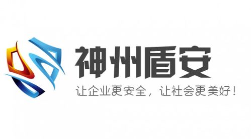 神州盾安 乘勢(shì)而上，勇做中國安全技術(shù)咨詢服務(wù)行業(yè)領(lǐng)跑者